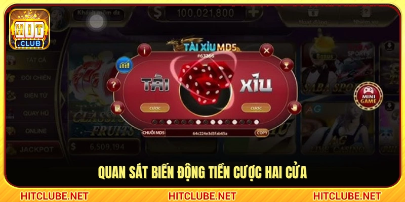 Kỹ thuật theo dõi dòng tiền đặt cược tại hai cửa Tài và Xỉu
